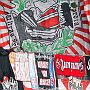 29.4.2017 Chemnitzer FC vs. FC Rot-Weiss Erfurt 1-1_42